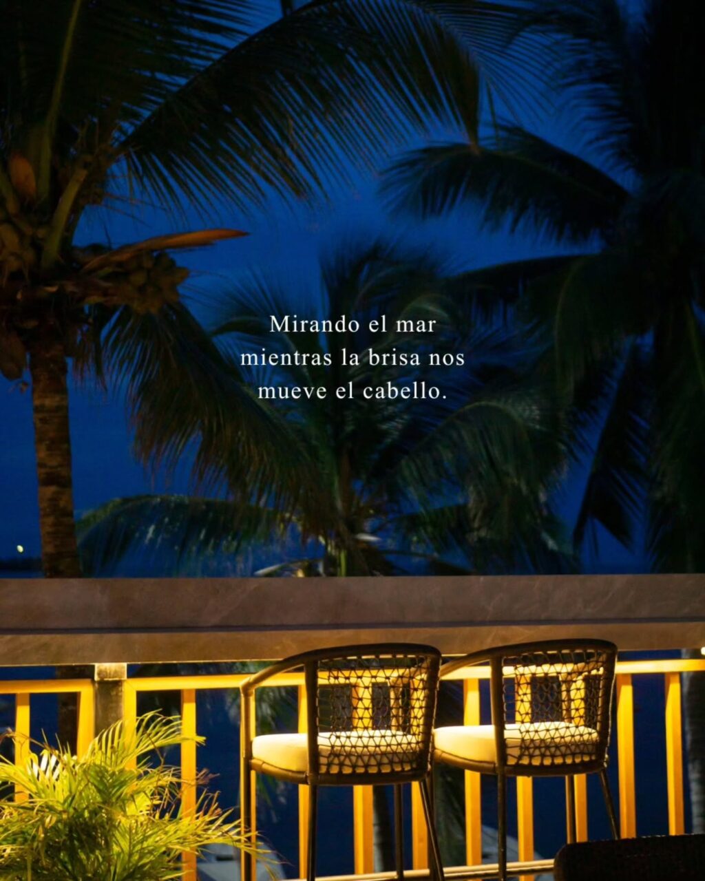 Instagram post from mangrovebayhotel_. This post is in position 1.