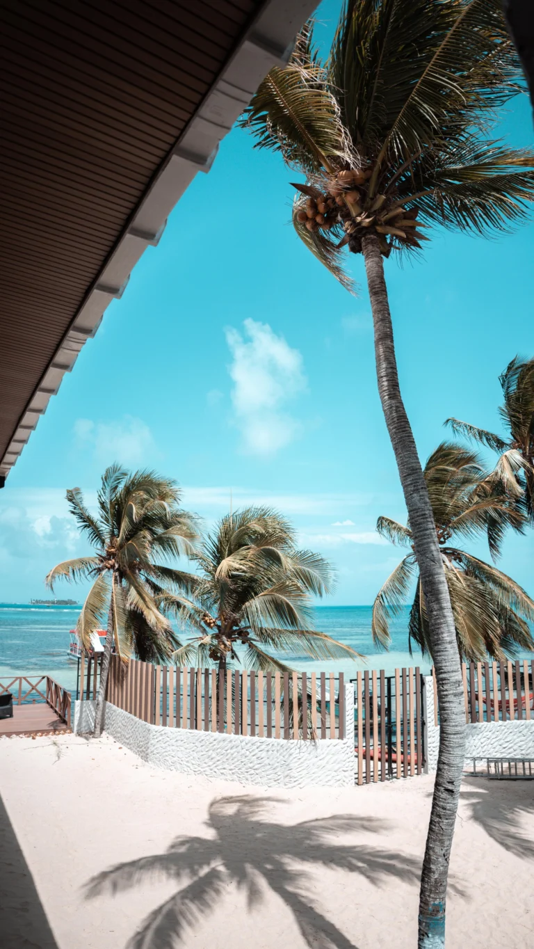 Instagram post from mangrovebayhotel_. This post is in position 1.