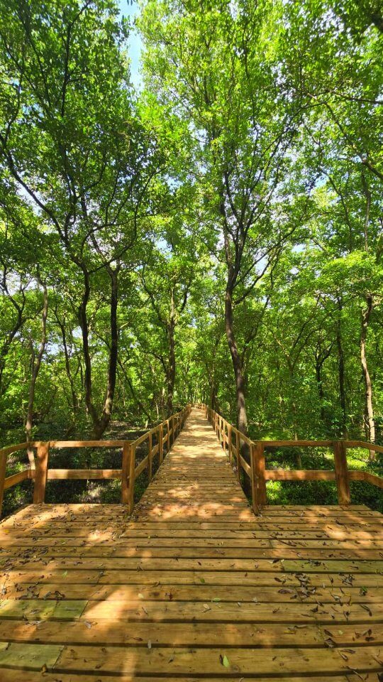 Instagram post from mangrovebayhotel_. This post is in position 3.