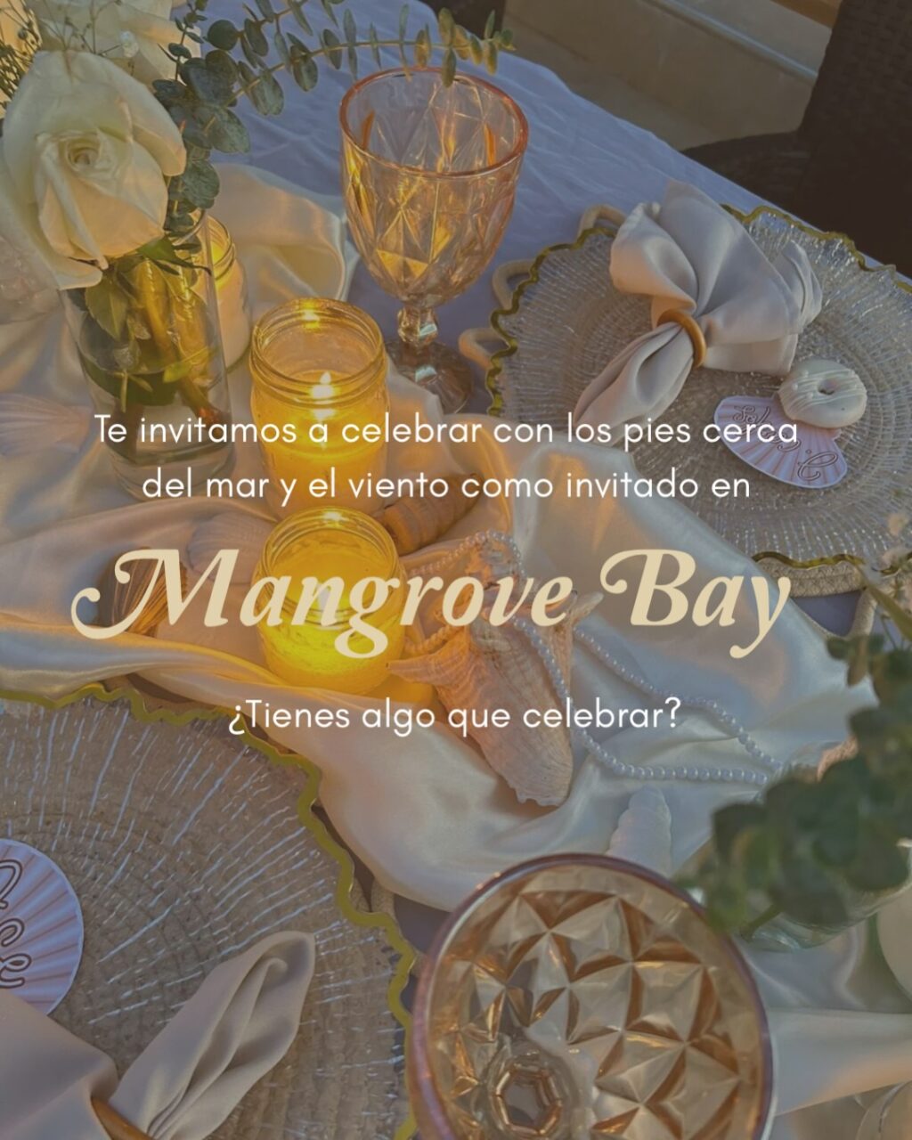 Instagram post from mangrovebayhotel_. This post is in position 2.